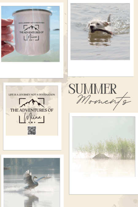 Jokainen hyvä suunnitelma tarvitsee vähän onnea