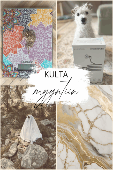 Kun kulta vaihtuu käteiseksi – ja suunnitelmat muuttuu todellisiksi!