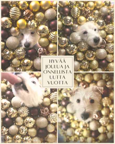 Hyvää joulua ja nousevia osakkeita!